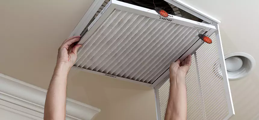Our Insect Removal from Air Ducts Services in Augusta, ME