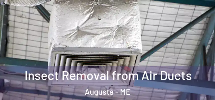 Insect Removal from Air Ducts Augusta - ME