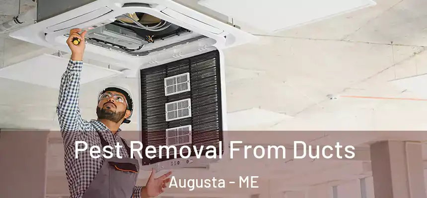  Pest Removal From Ducts Augusta - ME