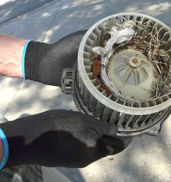 About Air Duct Rat Removal in Augusta, ME