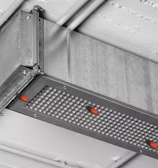 Affordable Insect Removal from Air Ducts in Augusta, ME