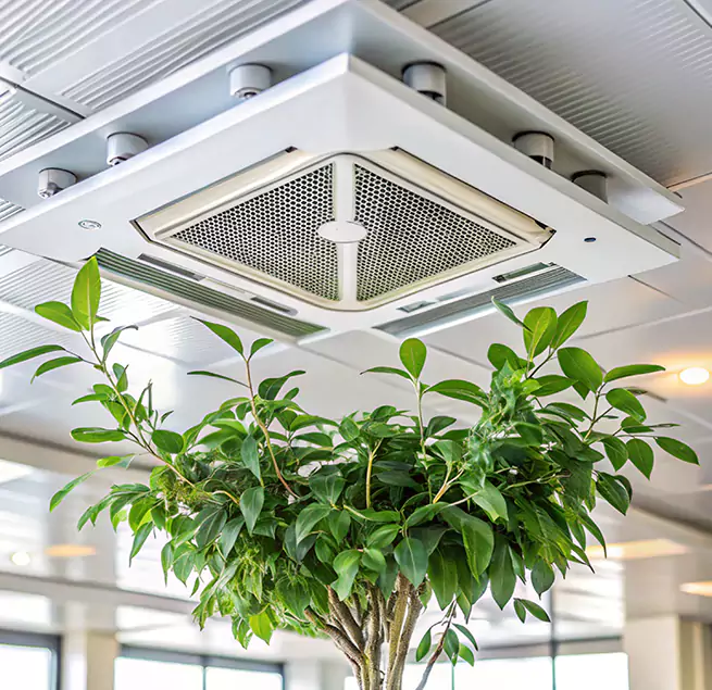 Why Homeowners & Businesses Trust Us in Augusta, ME